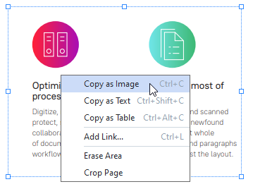 Copying An Area As An Image Copying An Area As An Image